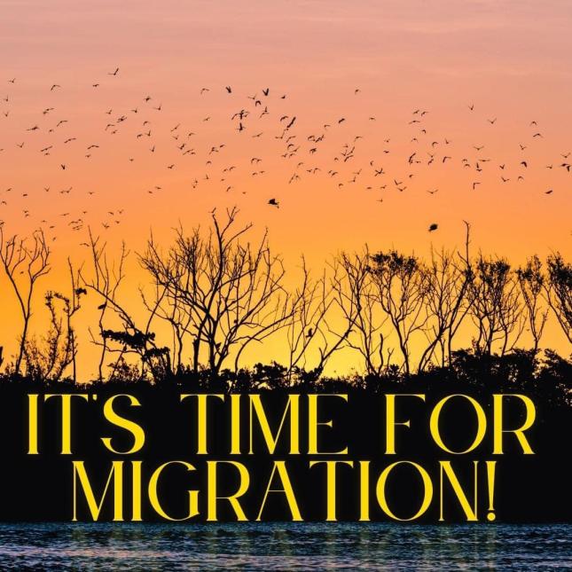 Wild Birds Unlimited Nature Shop